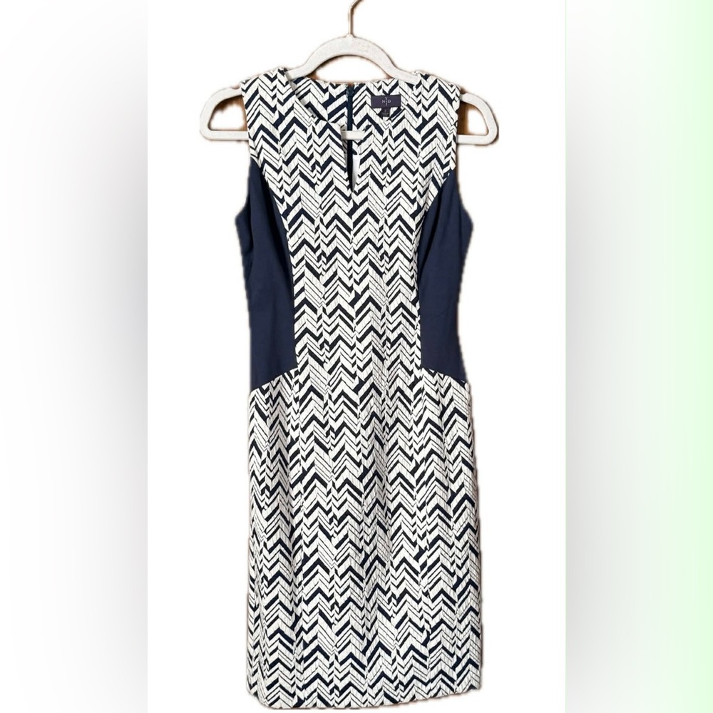 Chevron Patterned Navy and White Dress